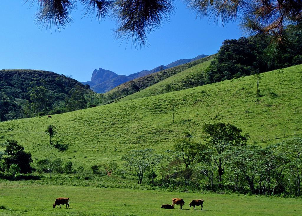 Fazenda Do Mel Inn Visconde de Mauá
